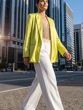 NWT Anthropologie Hutch Blazer